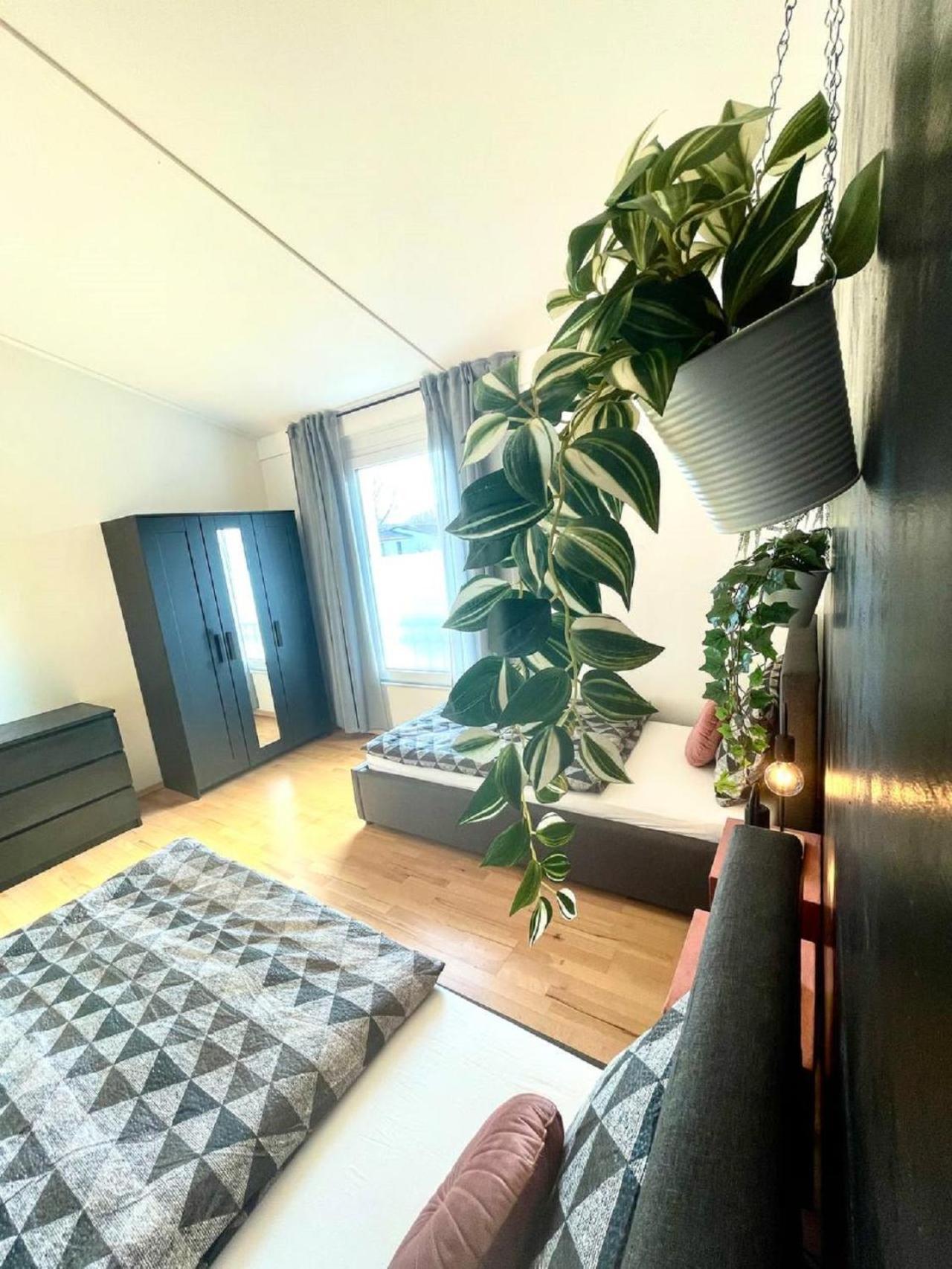 Geraeumiges Ferienhaus In Koblenz Koblenz  Dış mekan fotoğraf