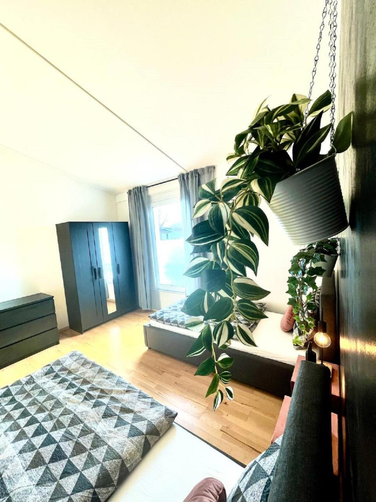 Geraeumiges Ferienhaus In Koblenz Koblenz  Dış mekan fotoğraf